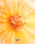 Galaxy Bomb | Sun