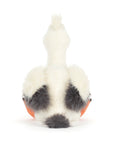 Keli Pelican