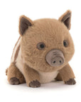 Swinley Boar