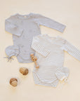 Jersey Bodysuit 2Pk | Squirrel, Cloud Stripe