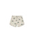 RC | Swim Trunks | Sea Turtles