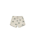 RC | Swim Trunks | Sea Turtles