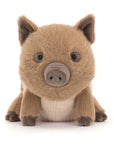 Swinley Boar