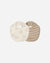 Lions, Cinnamon Stripe