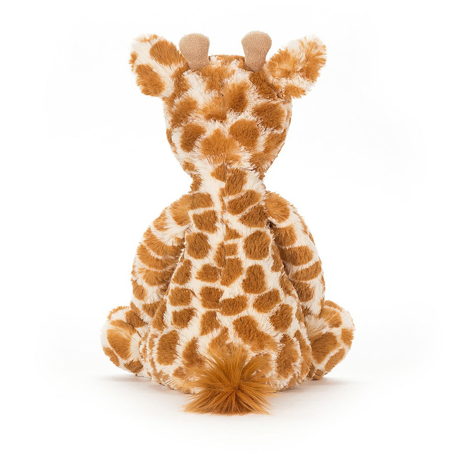 Bashful Giraffe | Little