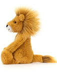 Bashful Lion | Medium