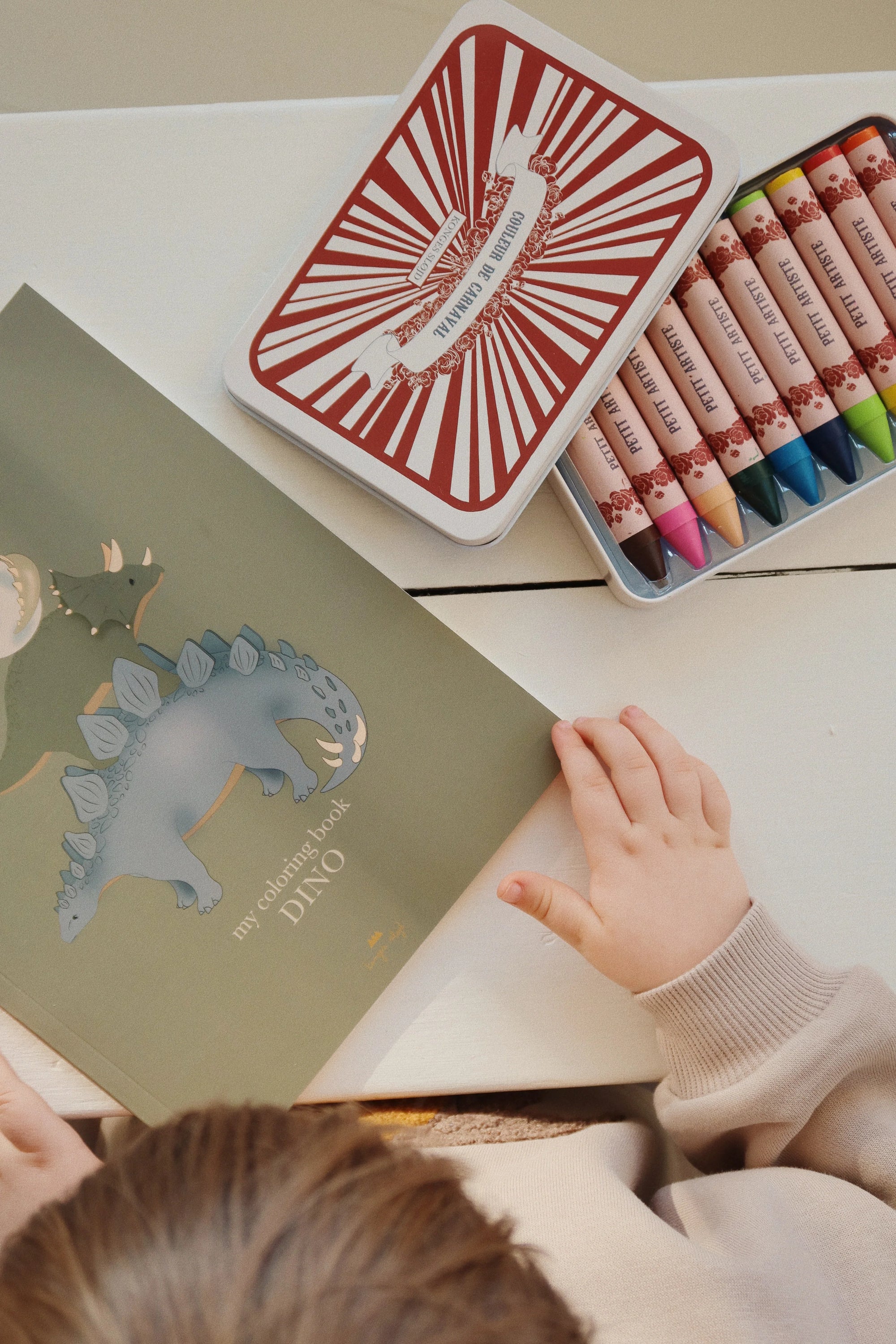 Colouring Book & Crayons | Dino