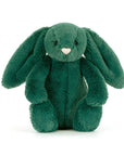 Bashful Teal Bunny - Little
