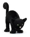 Spookipaws Cat