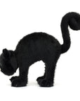 Spookipaws Cat