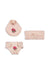 Cameo Rose