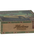 Grandma and Grandpa Mice in Cigarbox