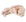 Powder