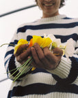 Mens Musa Knit Jumper | Summer Midnight Stripe