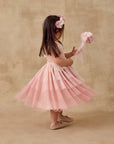 Pixie Dress | Pink Ombre