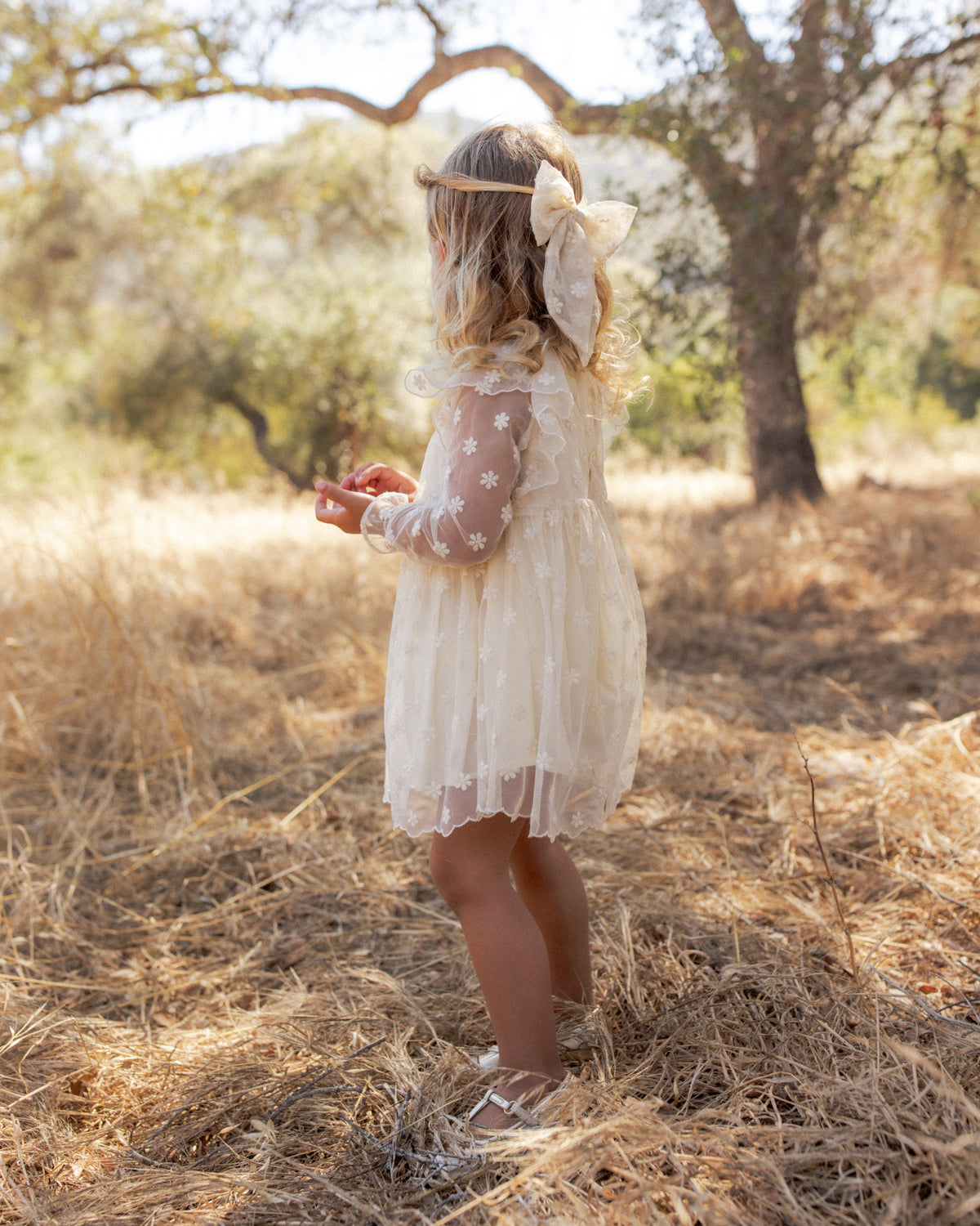 Celine Dress | Embroidered Daisy