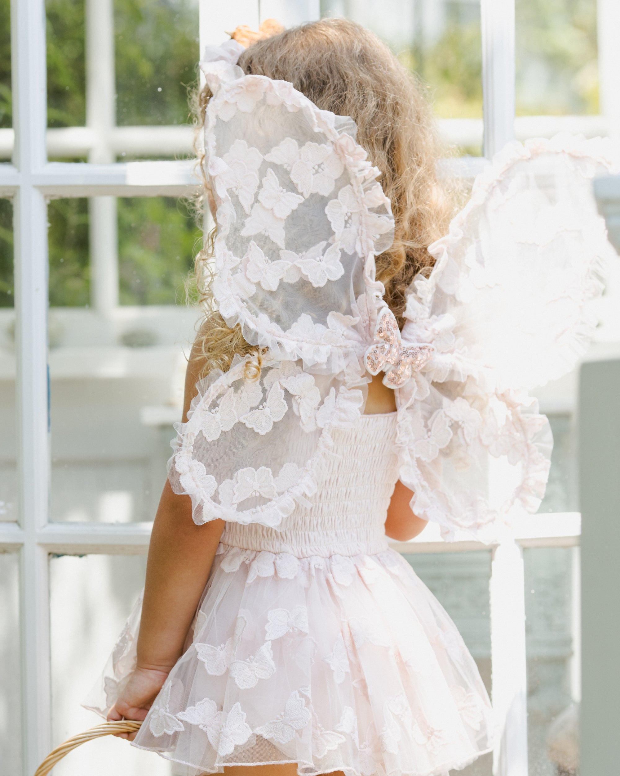 Fairy Set | Butterfly Cotton Candy