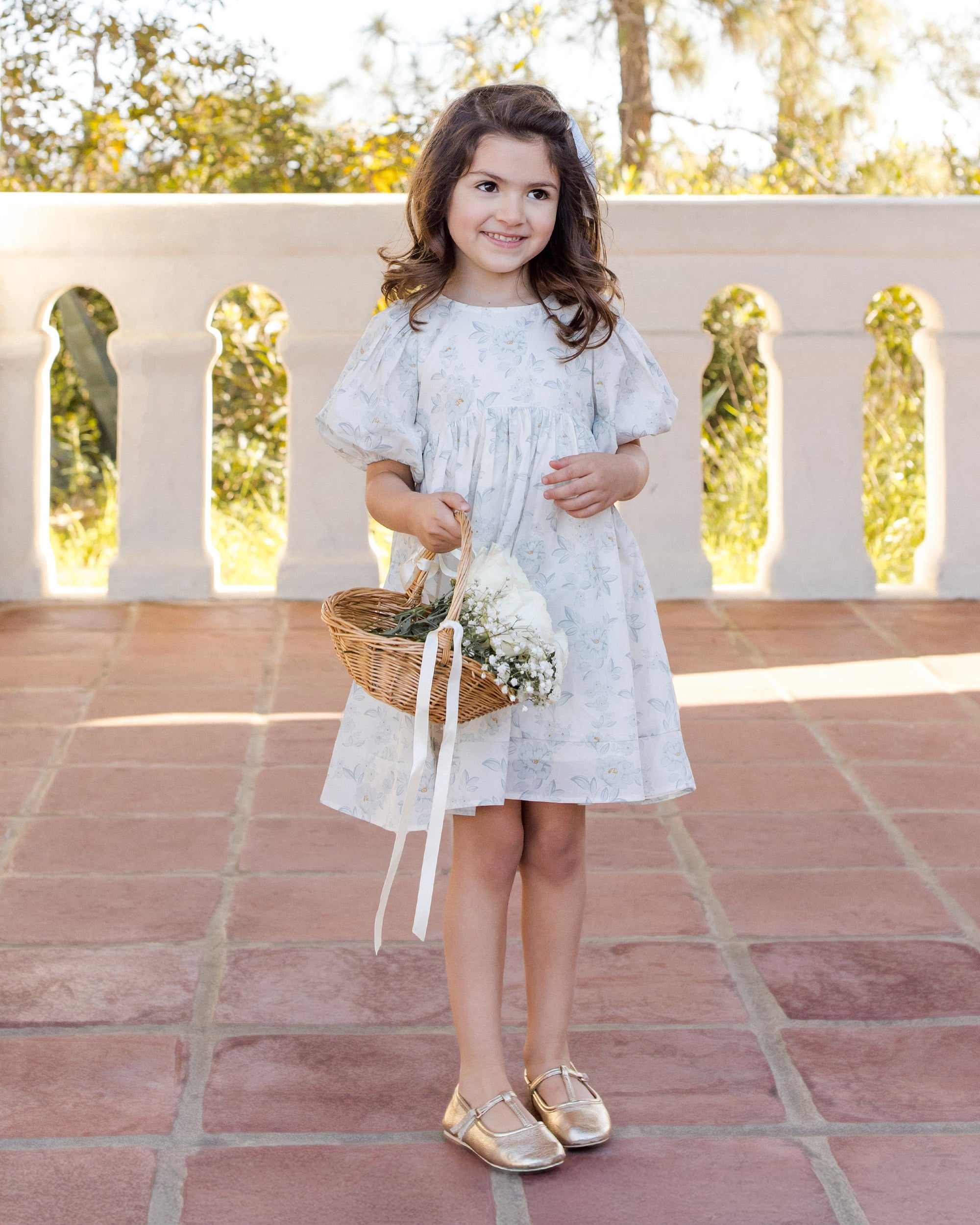 Luna Dress | Mist English Rose