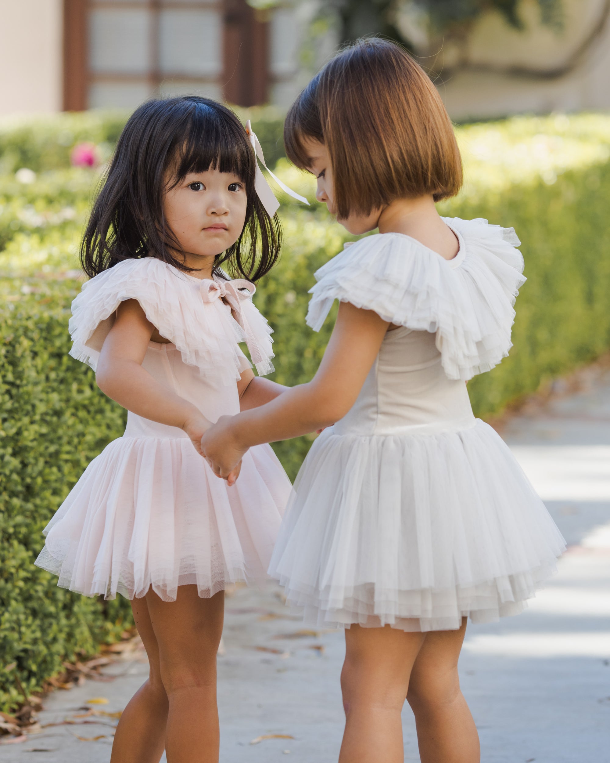 Ruffle Tulle Collar | Mist