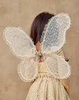 Wings | Champagne Stars