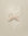 NL SS25 | Bunny Headband | Pastel Floral 