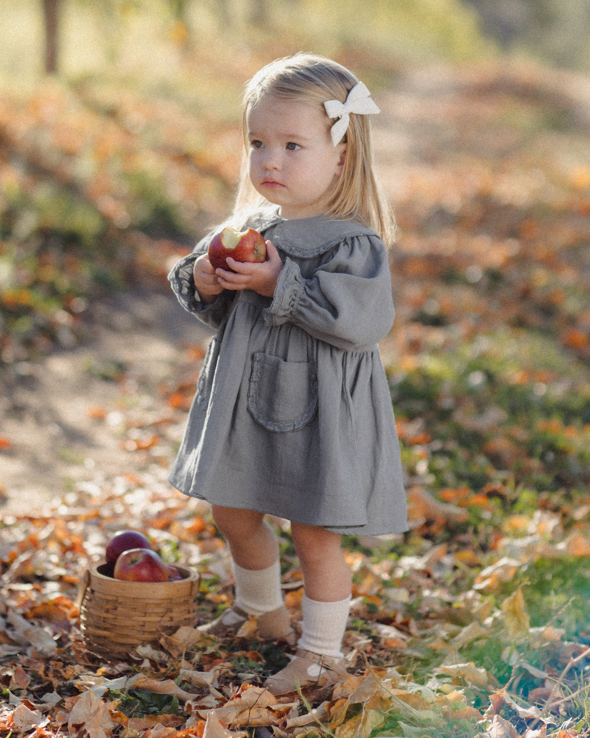 Marisol Dress | Slate