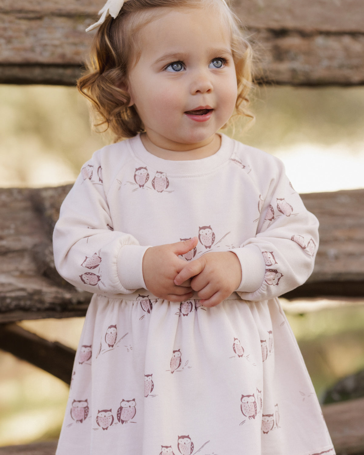 Raglan Dress | Owls