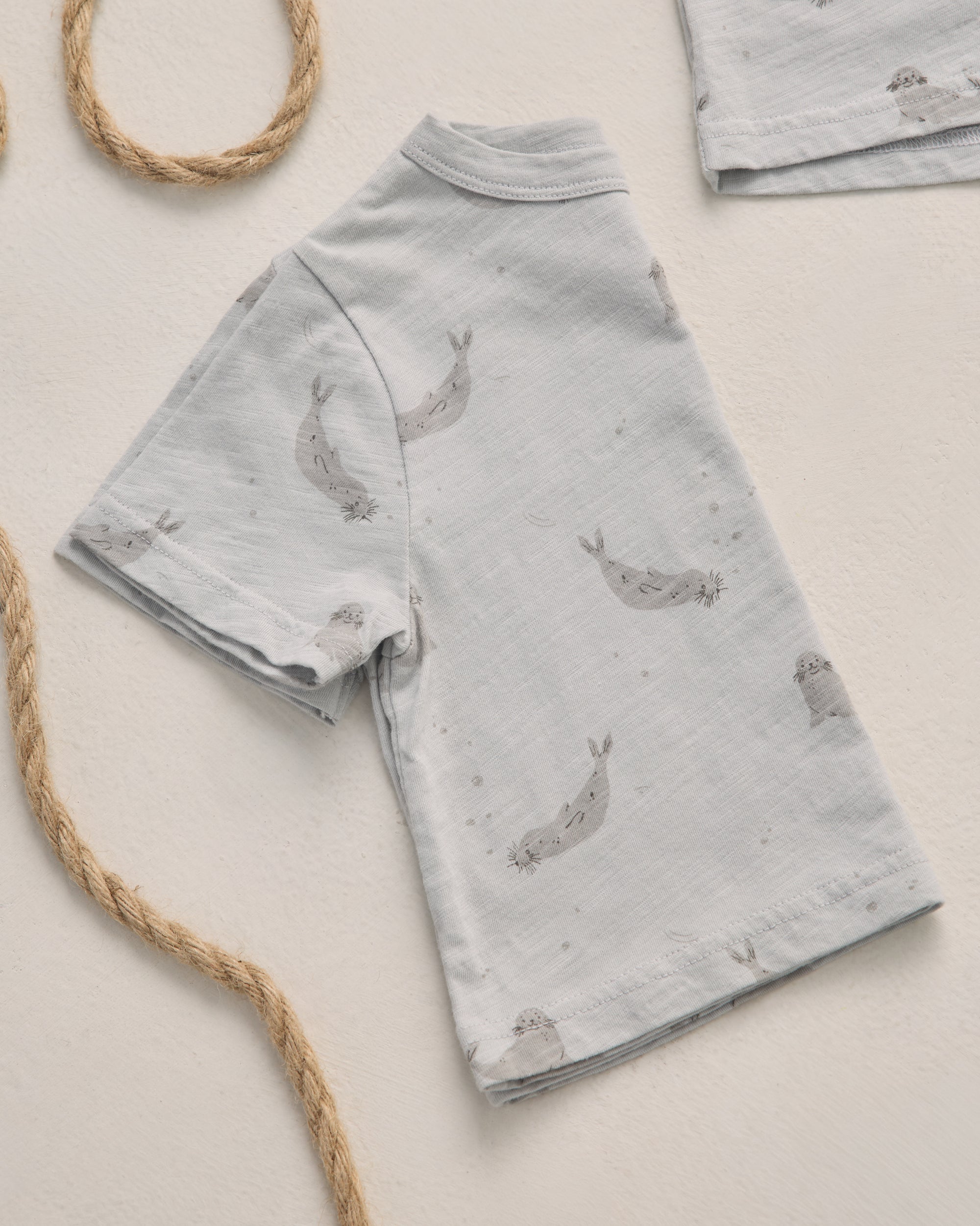 Play Set | Seals
