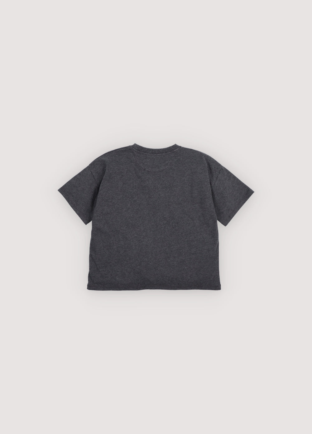 Dark grey t-shirt The New Society