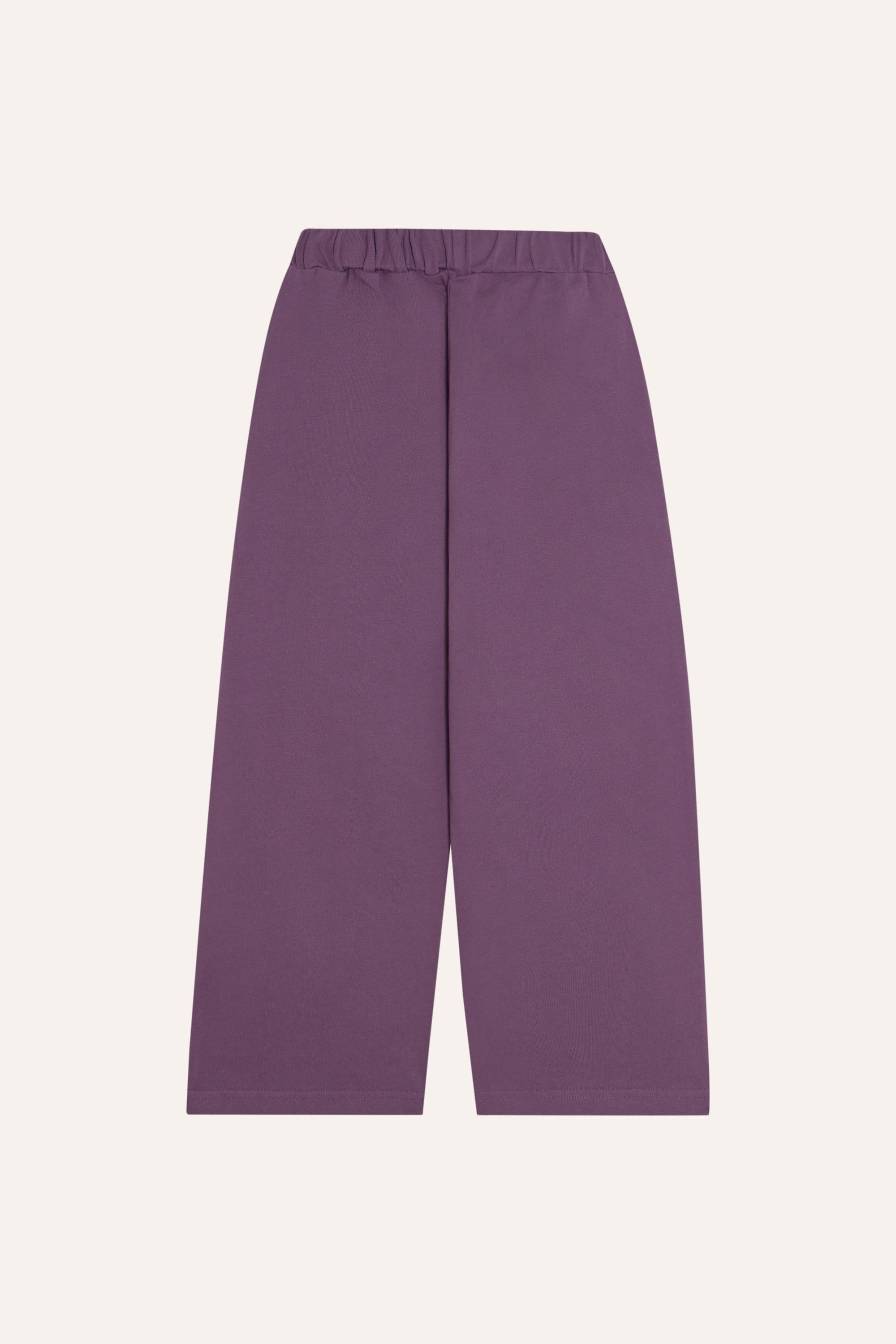 The Campamento | Purple Trousers 