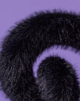Spookipaws Cat