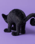 Spookipaws Cat