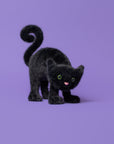 Spookipaws Cat