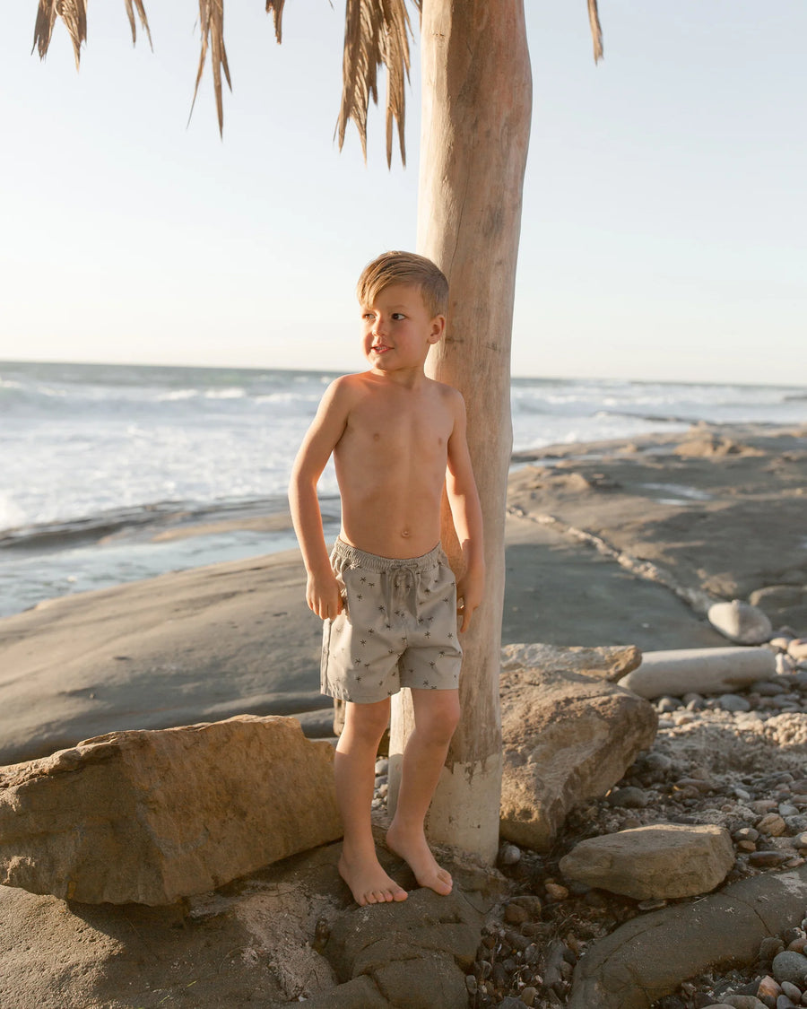 boardshort || palm trees