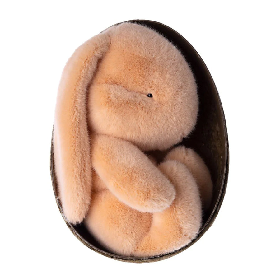 Bunny Plush in Egg | Assorted Colours
